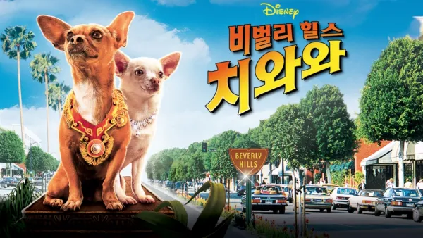 thumbnail - 비벌리힐스 치와와
