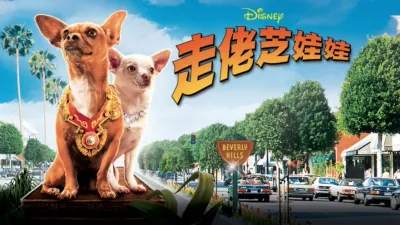 走佬芝娃娃
