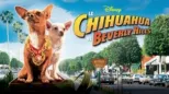 thumbnail - Le chihuahua de Beverly Hills