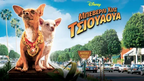 thumbnail - Μπέβερλυ Χιλς Τσιουάουα