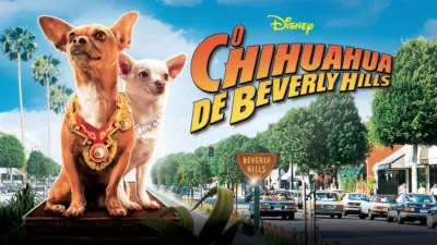 O Chihuahua de Beverly Hills