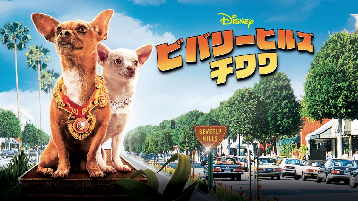 ビバリーヒルズ・チワワを配信で見る | Disney+(ディズニープラス), image size:1200x674