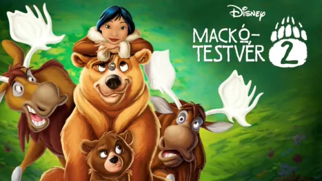 thumbnail - Mackótestvér 2.