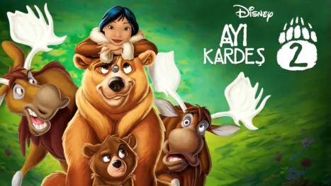 thumbnail - Ayı Kardeş 2