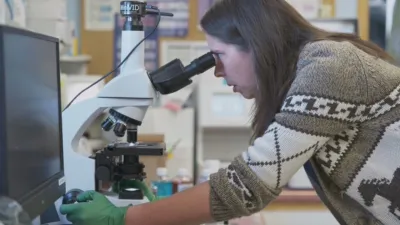 thumbnail - S2:E6 The Owl and the Pussycat