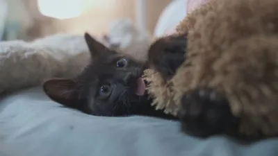 thumbnail - S2:E3 Underneath the Surface