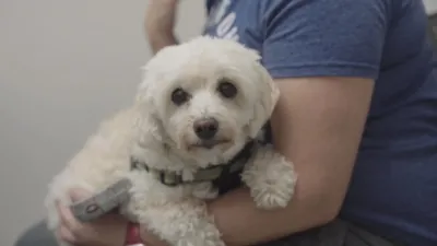 thumbnail - S2:E12 They're All Lovable