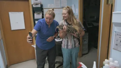 thumbnail - S2:E2 As Good as Goldy