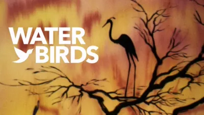 Water Birds