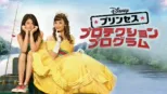 thumbnail - プリンセス・プロテクション・プログラム