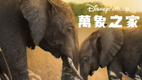 thumbnail - 萬象之家