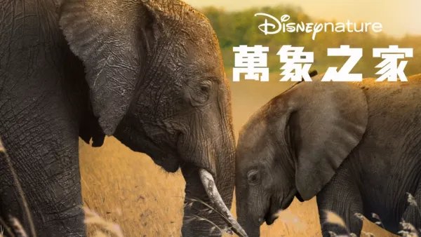 thumbnail - 萬象之家