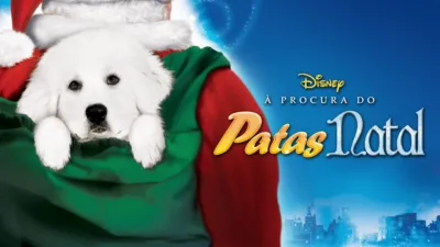 thumbnail - À Procura do Patas Natal