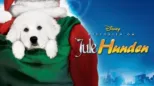 thumbnail - Historien om Julehunden