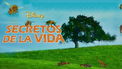thumbnail - Secretos de la vida