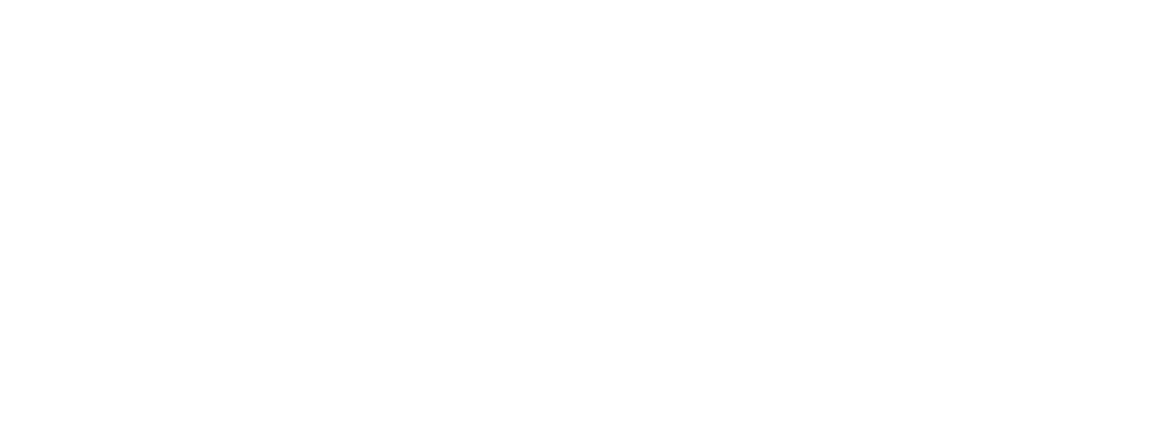 Mufasa: O Rei Leão