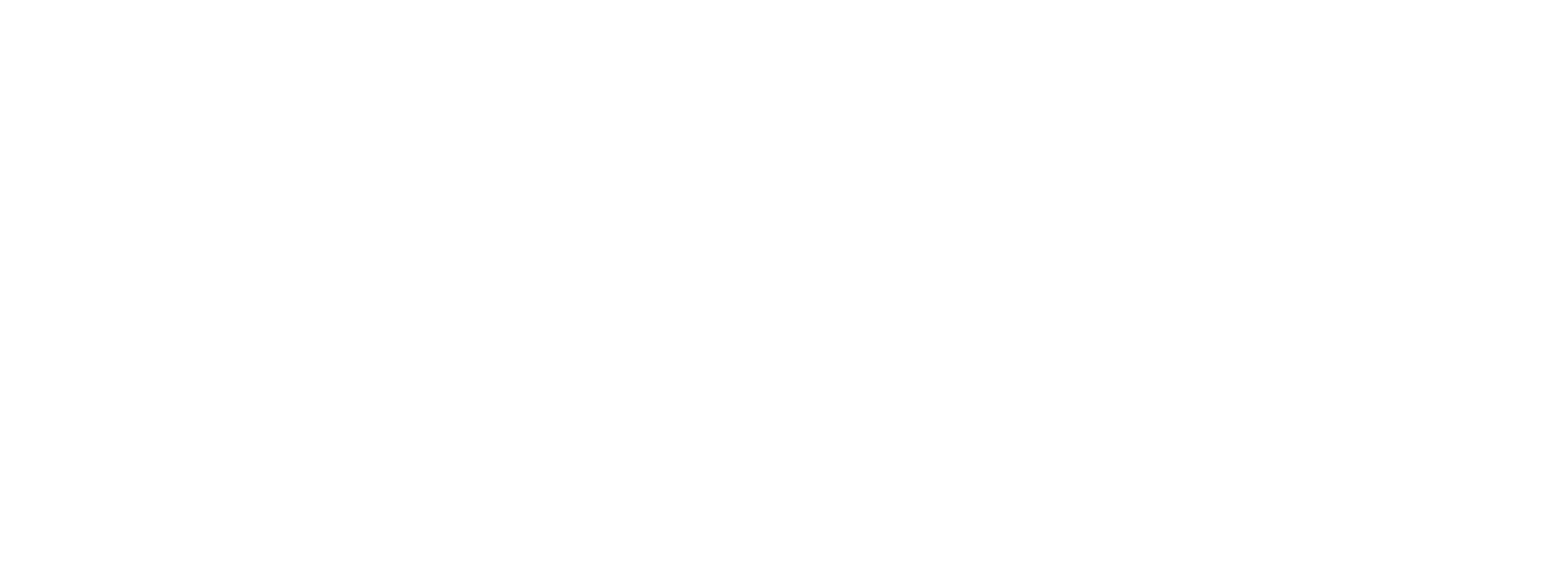 Mufasa: Aslan Kral