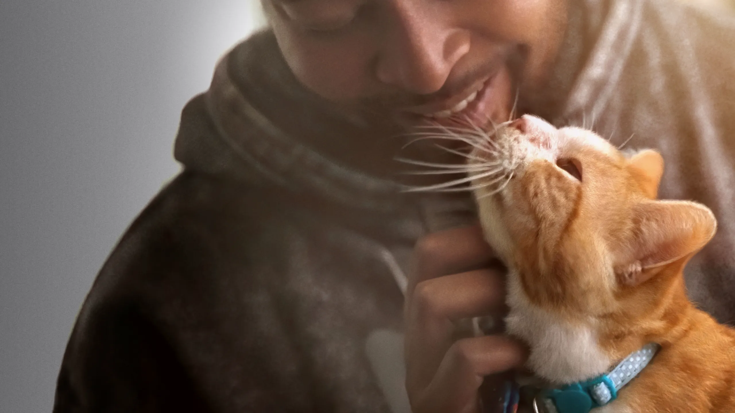 Pets
