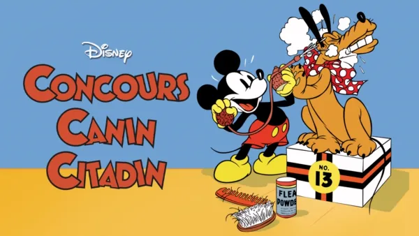 thumbnail - Concours canin citadin