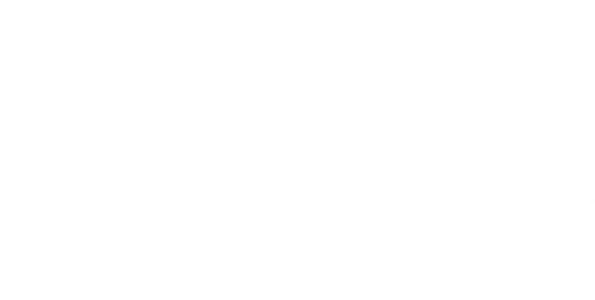 Mi amigo el dragón