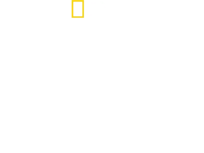 Tucci in Italy