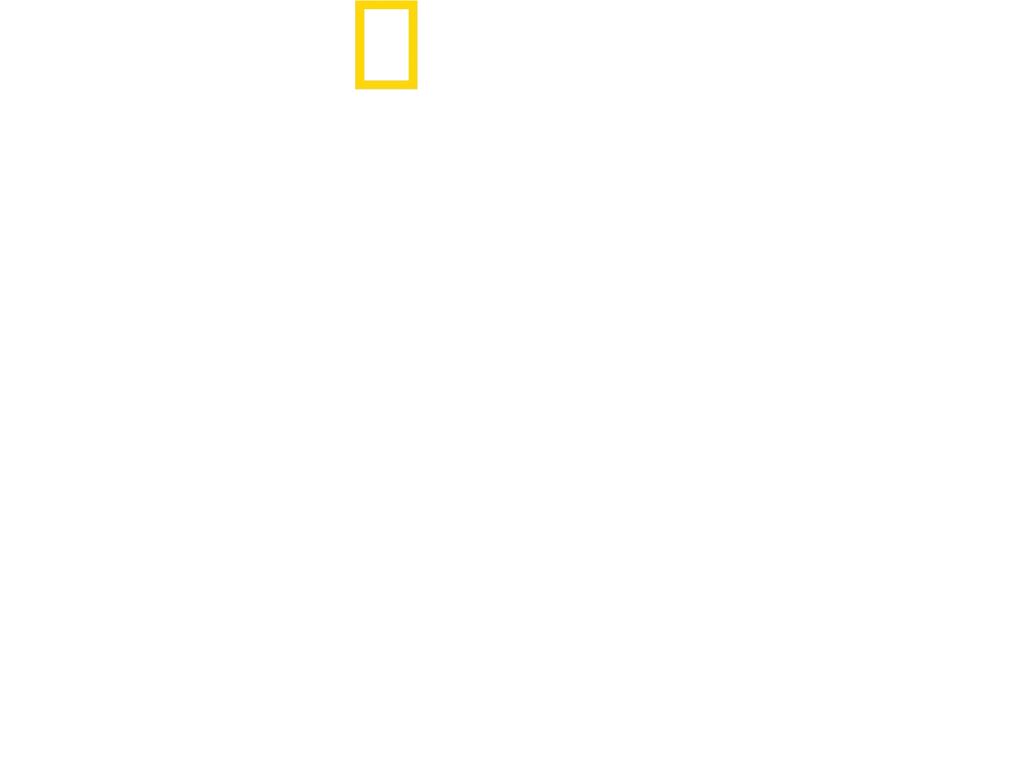 Tucci in Italy