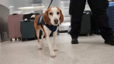 thumbnail - S8：第7話「麻薬、虫、そして大規模なおとり捜査」