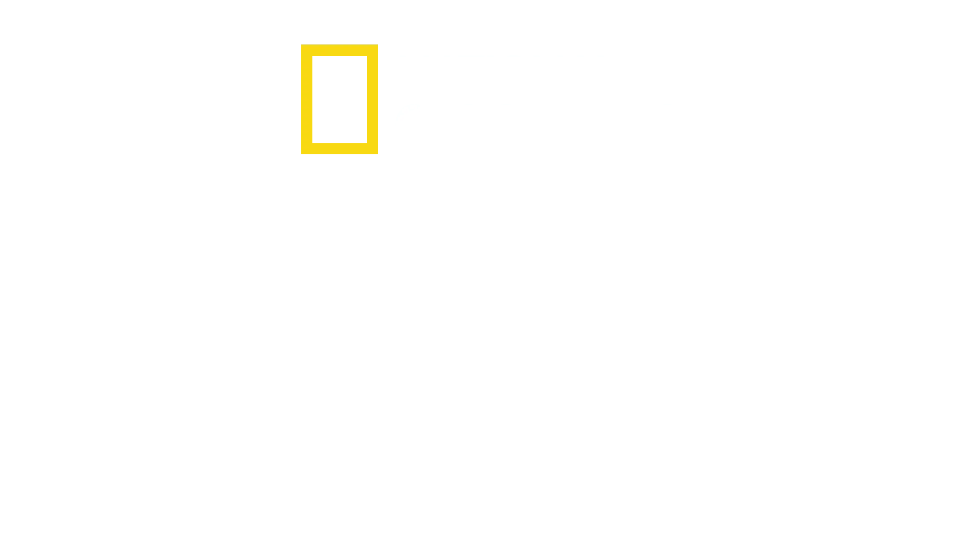 Amsterdam Central 24/7