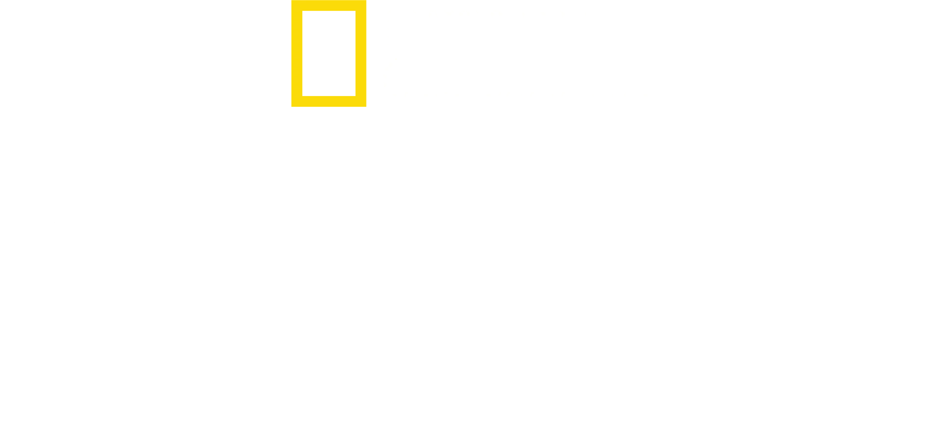 Amsterdam Central 24/7