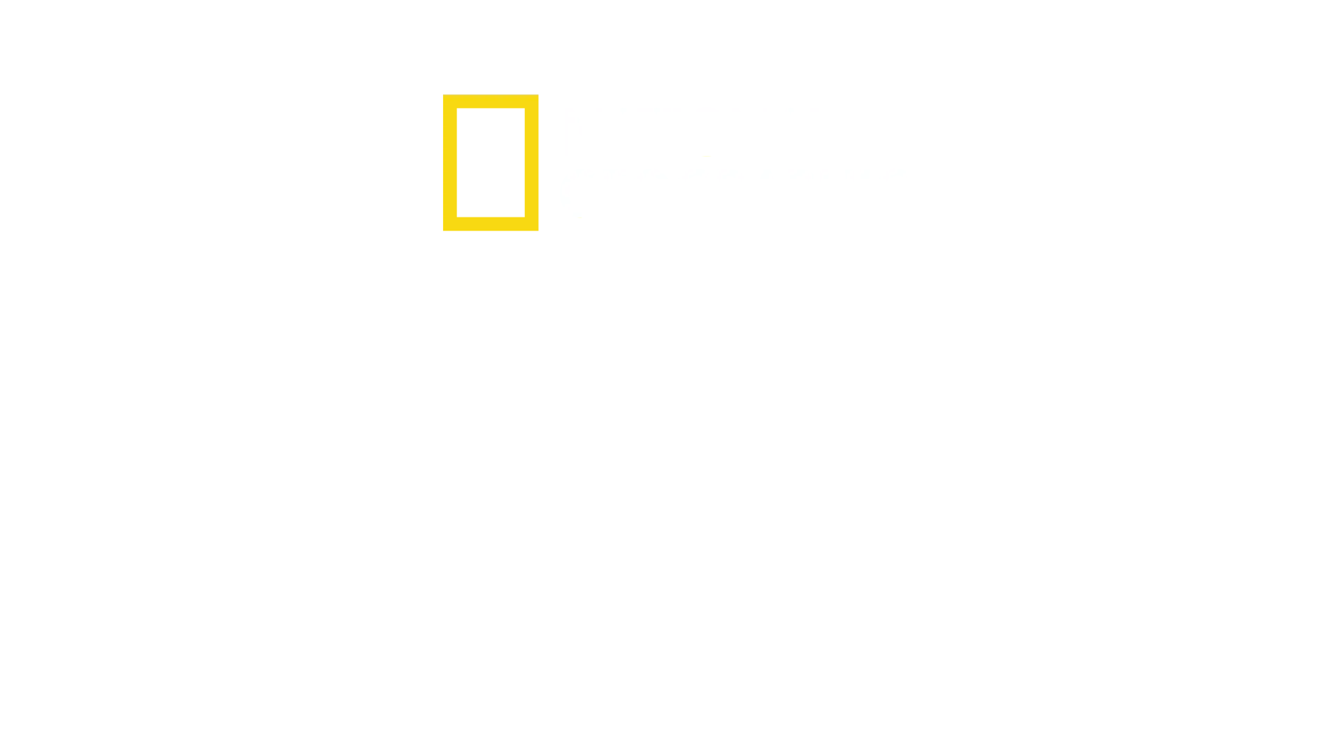 Amsterdam Centraal 24/7