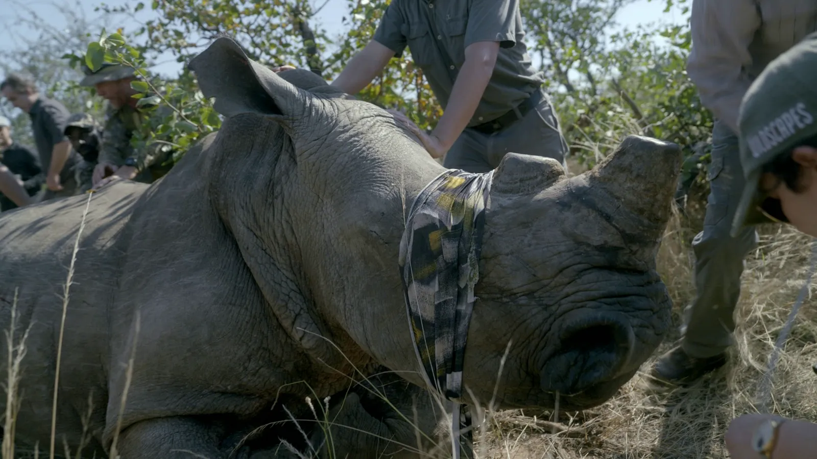 thumbnail - S1:E7 South Africa
