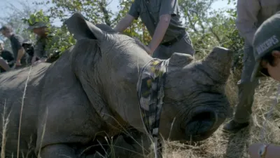 thumbnail - S1:E7 South Africa