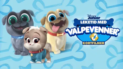 thumbnail - Lekestund med valpevenner