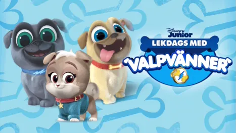 thumbnail - Lekdags med valpvänner