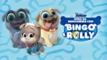 thumbnail - Hora da Brincadeira com Bingo e Rolly