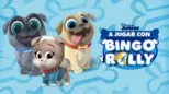 thumbnail - A jugar con Bingo y Rolly (Cortos)