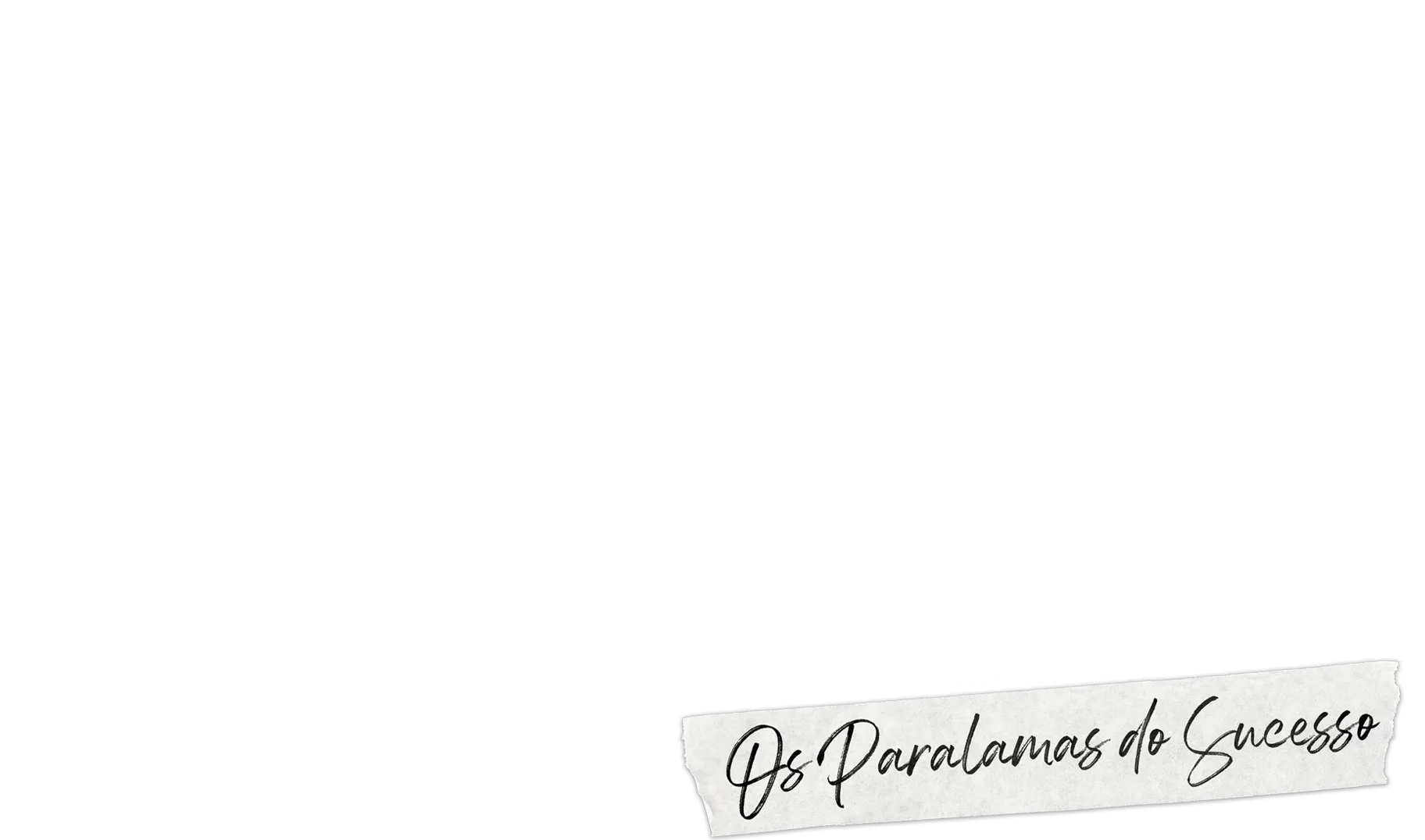 Minha Música, Minha Terra: Os Paralamas do Sucesso