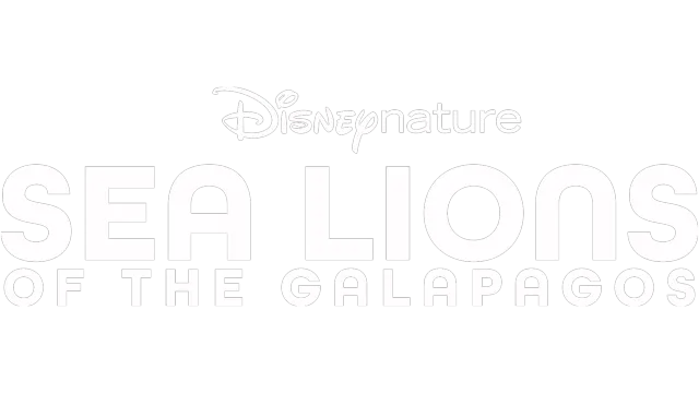 Sea Lions of the Galapagos