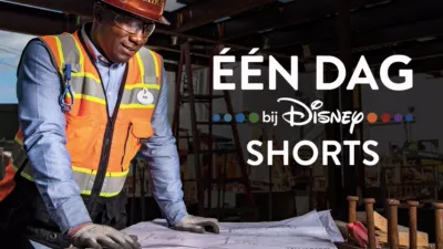 Een Dag bij Disney