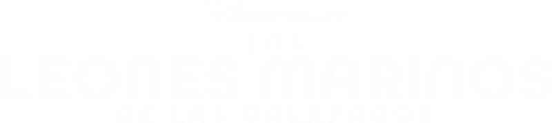 Los leones marinos de las Galápagos