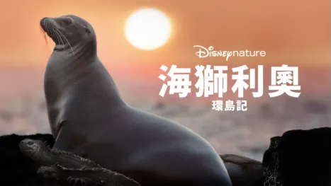 thumbnail - 海獅利奧環島記