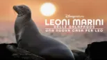 thumbnail - Leoni marini delle Galapagos – Una nuova casa per Leo