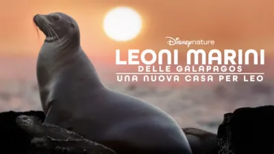 thumbnail - Leoni marini delle Galapagos – Una nuova casa per Leo