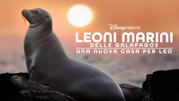 thumbnail - Leoni marini delle Galapagos – Una nuova casa per Leo