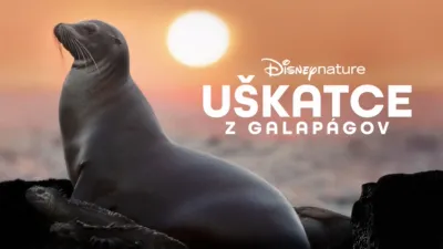thumbnail - Uškatce z Galapágov