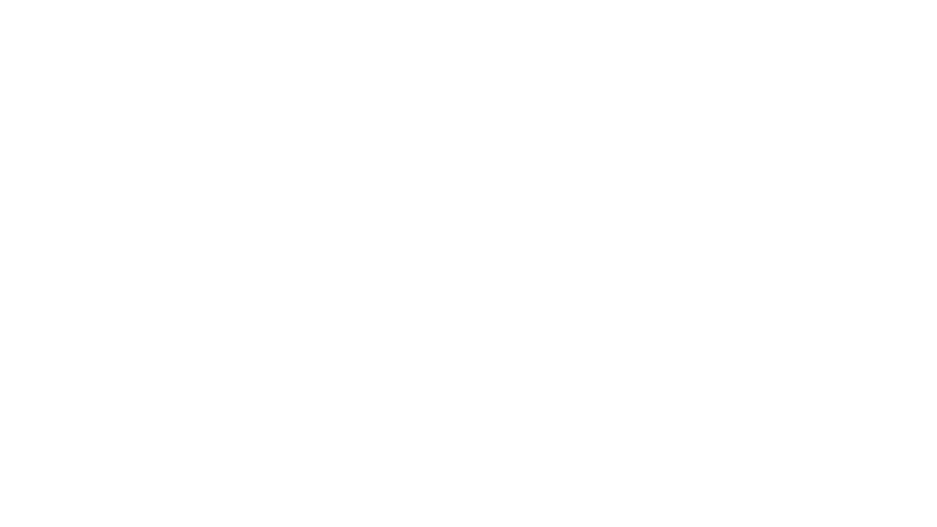 TVアニメ『Fate/strange Fake』