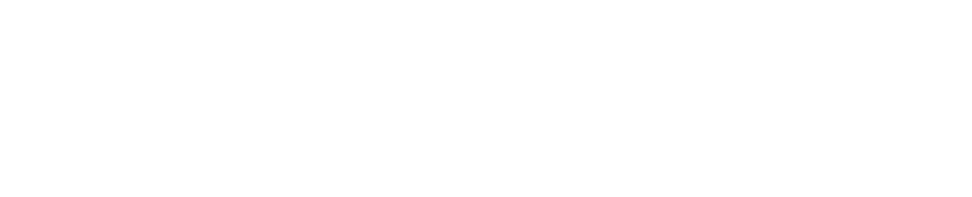 TVアニメ『Fate/strange Fake』