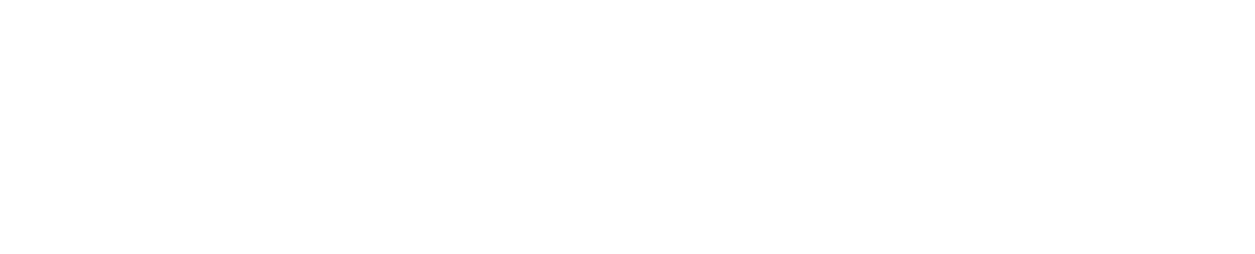Fate/strange Fake