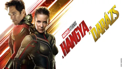 thumbnail - A Hangya és a Darázs