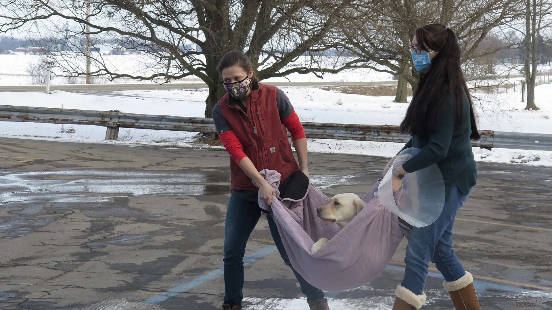 thumbnail - S19:E7 Game of Bones